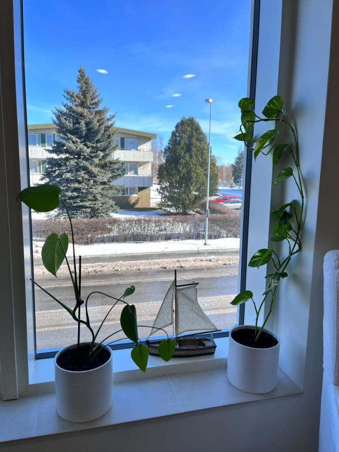 Pikku Flora Appartement Kokkola  Buitenkant foto